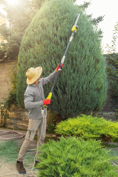 Best Sod Installation  in Macom, IL